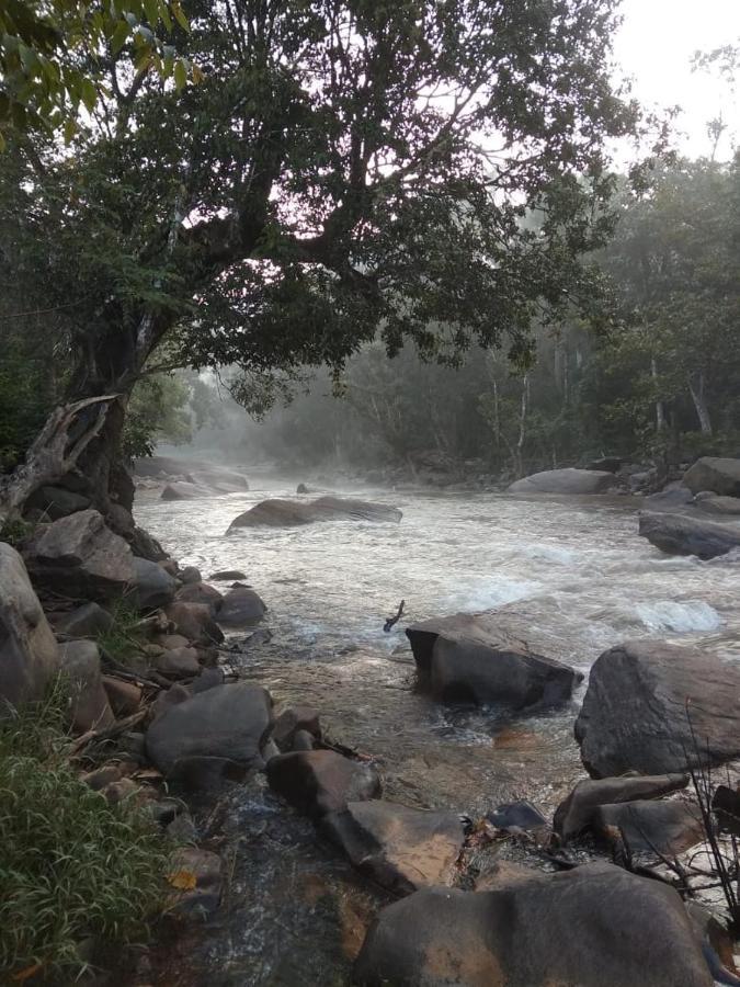 Coorg River Rock Camping Madikeri Eksteriør bilde